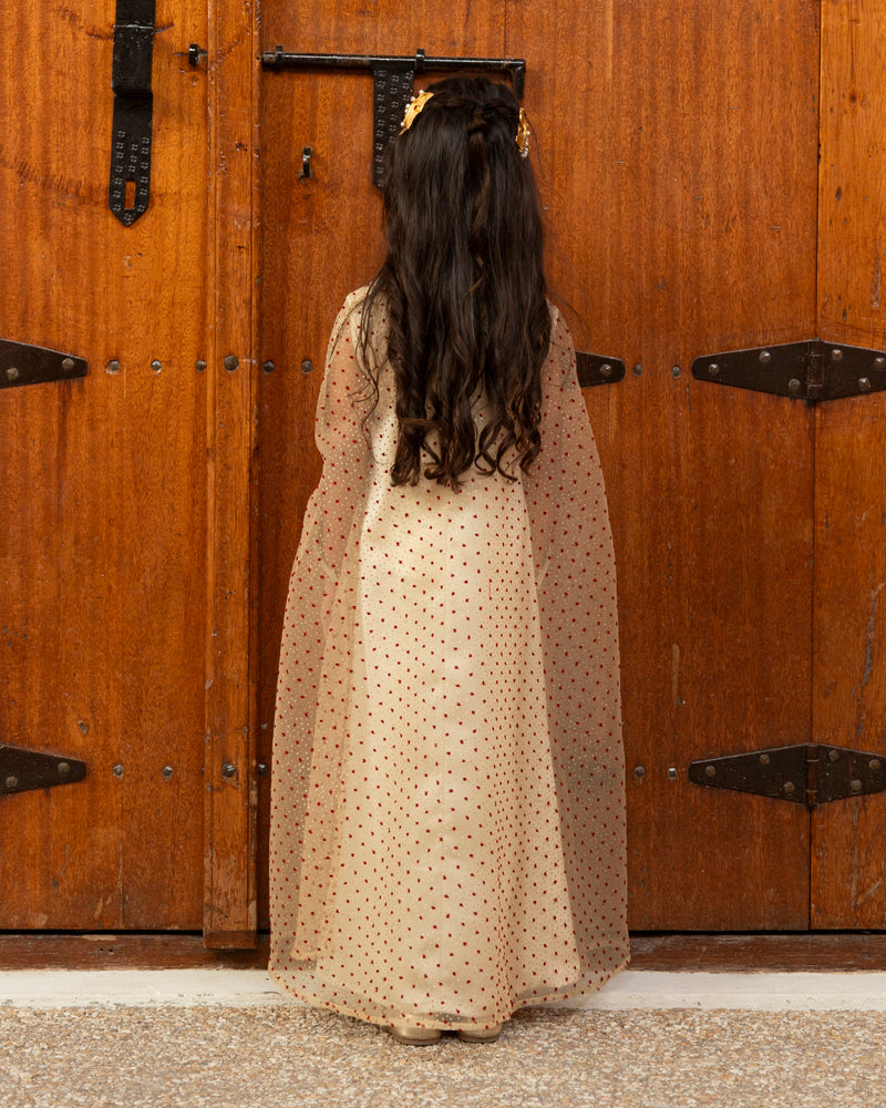 Organza dotted cape with inner dress
